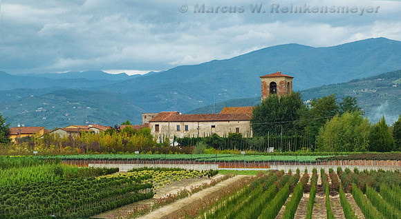 Fertile Countryside, Italy